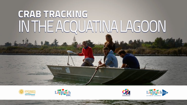 crab-tracking