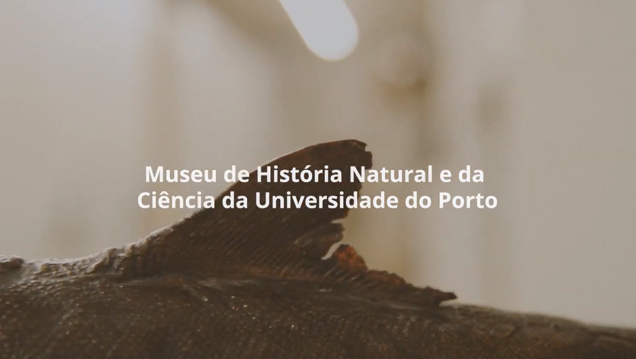Cover University of Porto - LW Portugal