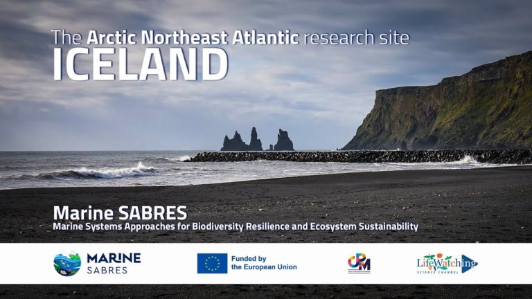 Marine SABRES documentary - Arctic Northeast Atlantic