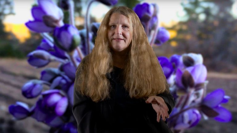 BioDT Talk 03 - Bente Lilja Bye
