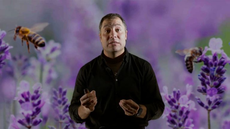 BioDT Talk 01_news-home