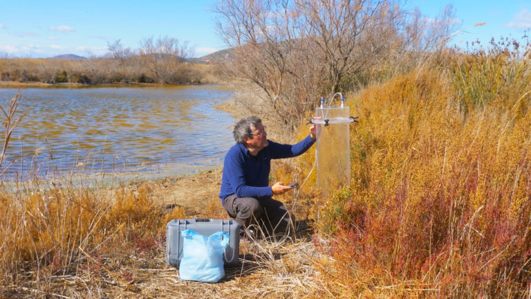 Valencia Documentary Home