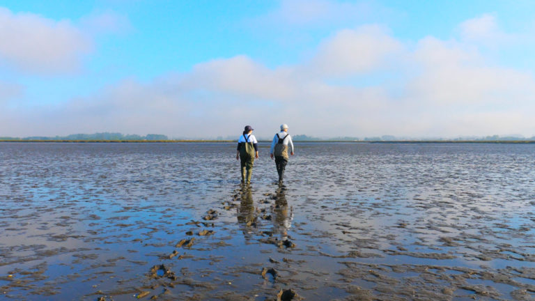 Aveiro Documentary Home